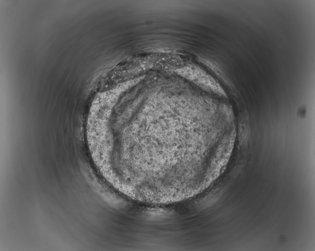 X0000116780453201001071240