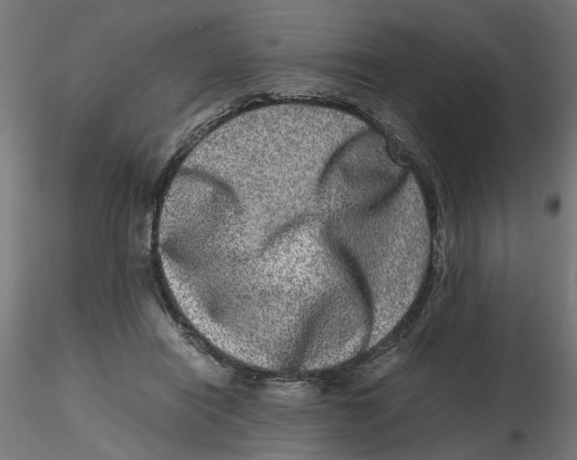 X0000116780454201001071240