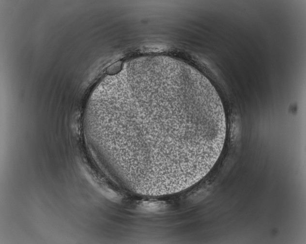 X0000116780455201001071240