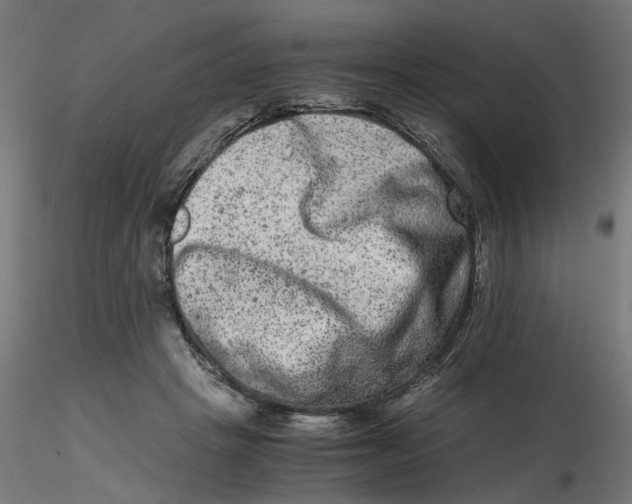 X0000116780457201001071240