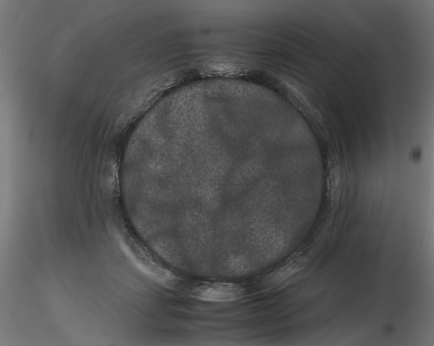 X0000116780459201001071240