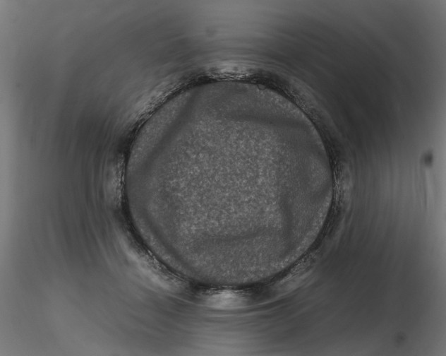 X0000116780460201001071241