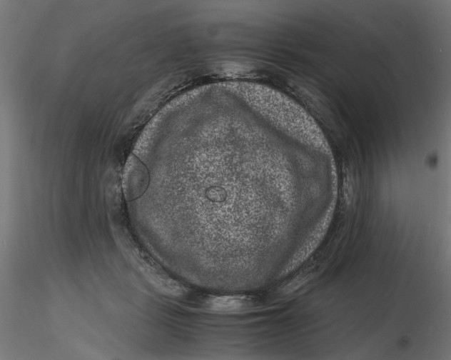 X0000116780461201001071241