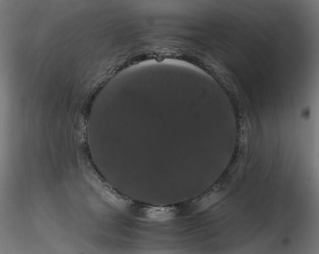 X0000116780465201001071241