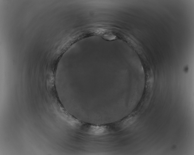 X0000116780469201001071241