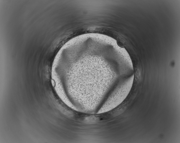 X0000116780470201001071241