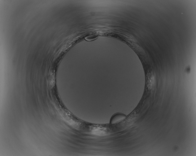 X0000116780471201001071241