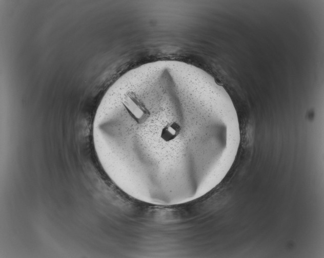 X0000116780472201001071241