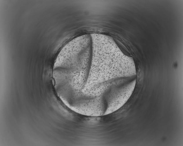 X0000116780474201001071241