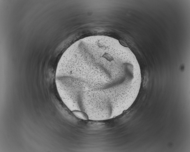 X0000116780476201001071241