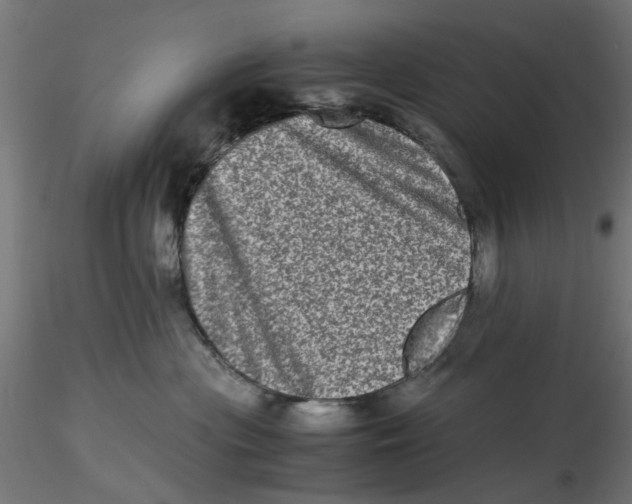 X0000116780477201001071241