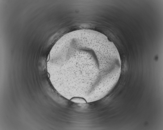 X0000116780478201001071241