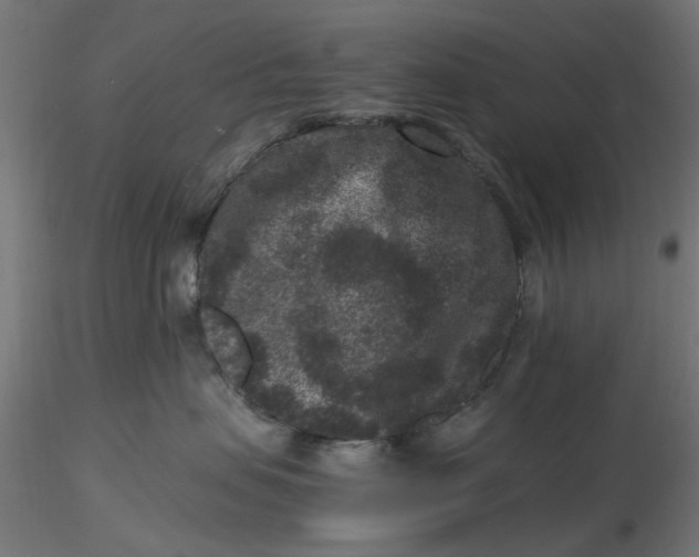 X0000116780479201001071241