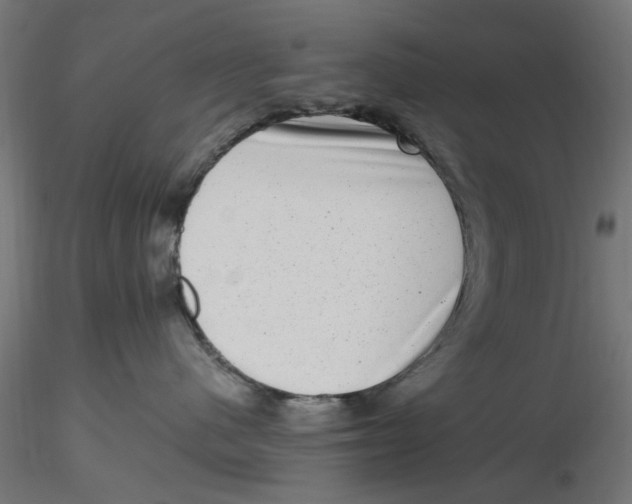 X0000116780480201001071241