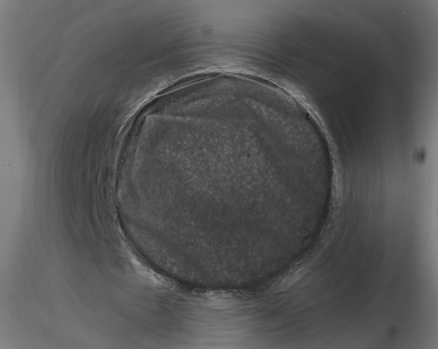 X0000116780481201001071240