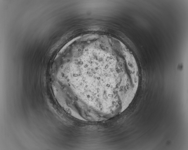 X0000116780482201001071240