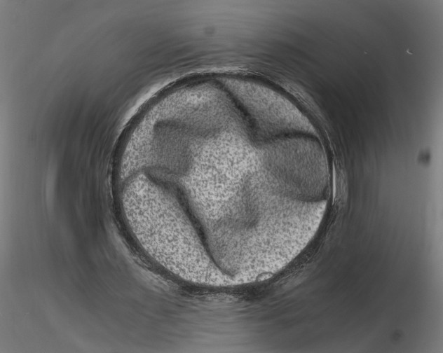 X0000116780483201001071240