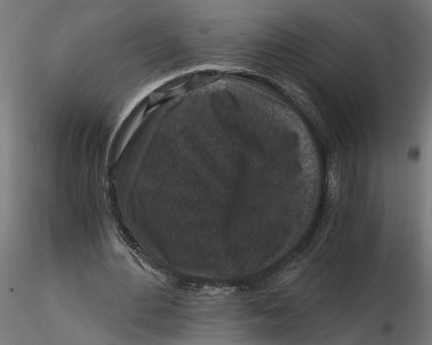 X0000116780484201001071240