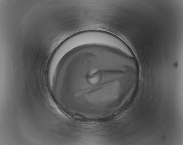 X0000116780485201001071240