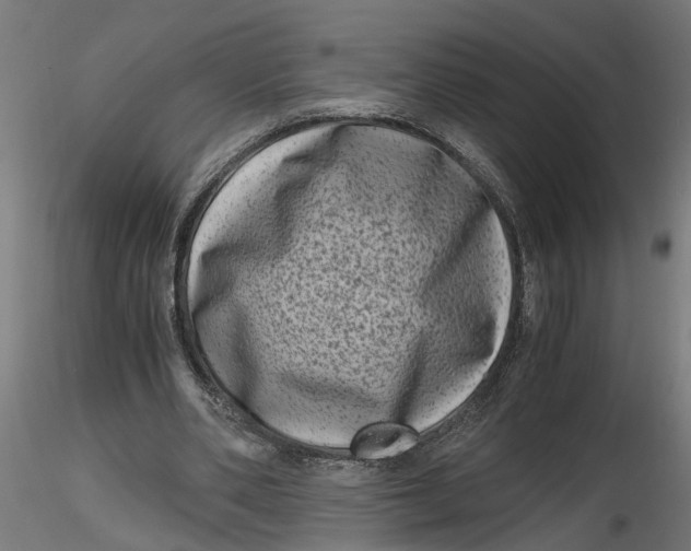 X0000116780486201001071240