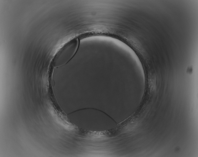 X0000116780488201001071240