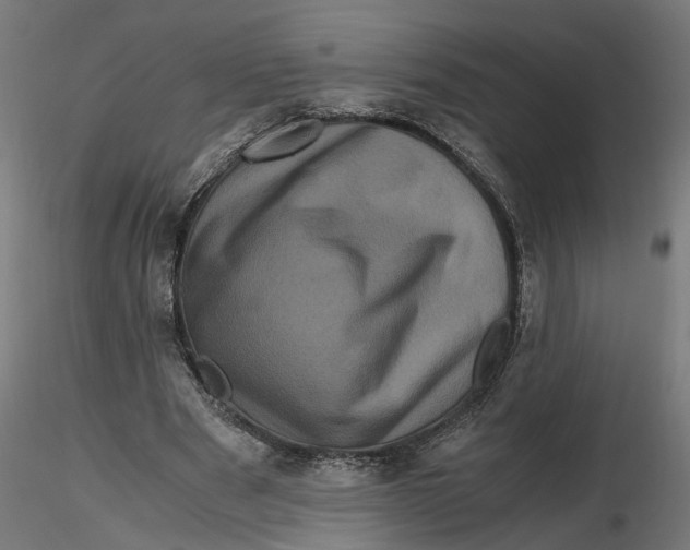 X0000116780489201001071240