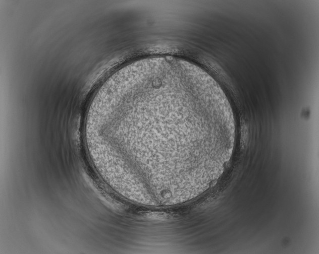 X0000116780490201001071240