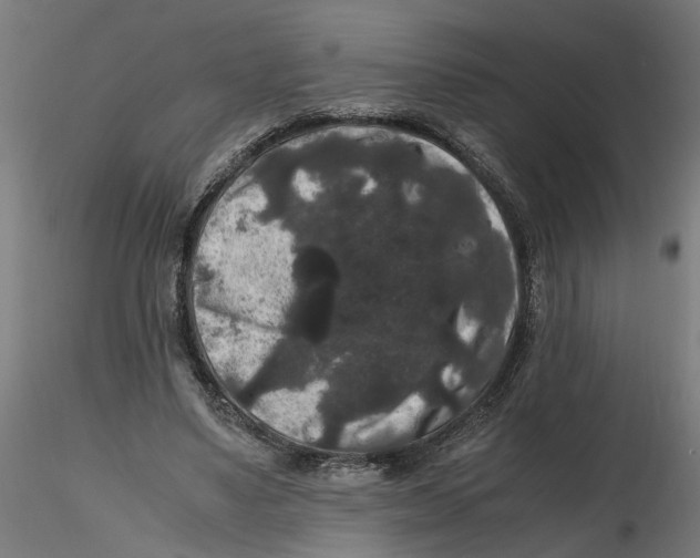 X0000116780491201001071240