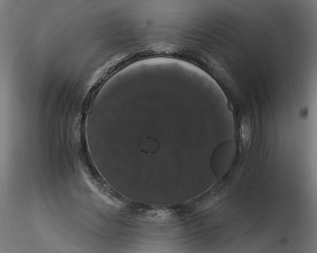 X0000116780492201001071240