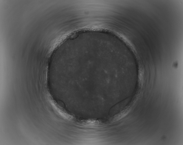 X0000116780493201001071240