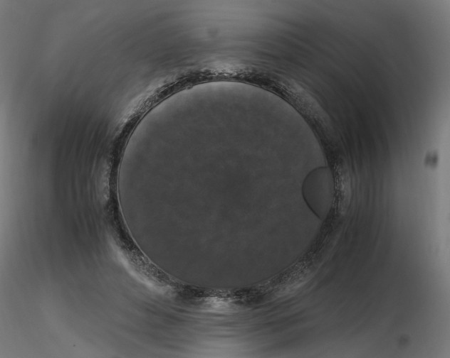 X0000116780496201001071240