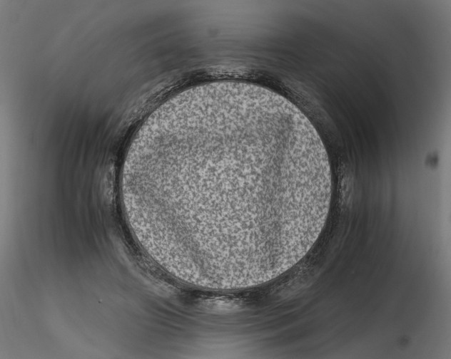 X0000116780498201001071240