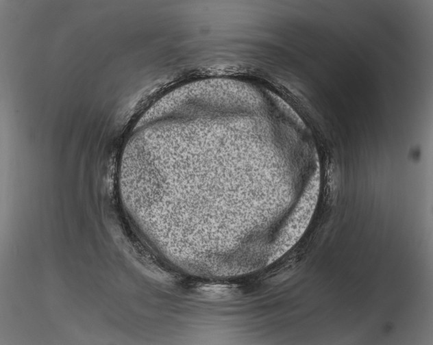 X0000116780499201001071240