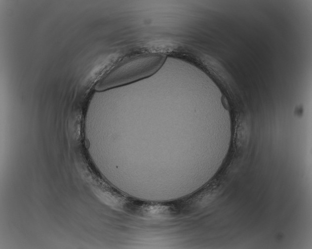 X0000116780501201001071240