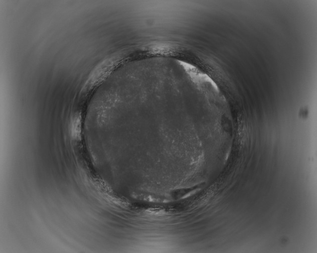 X0000116780502201001071240