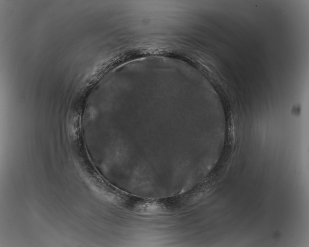 X0000116780503201001071240