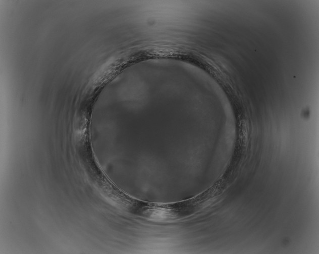 X0000116780507201001071240