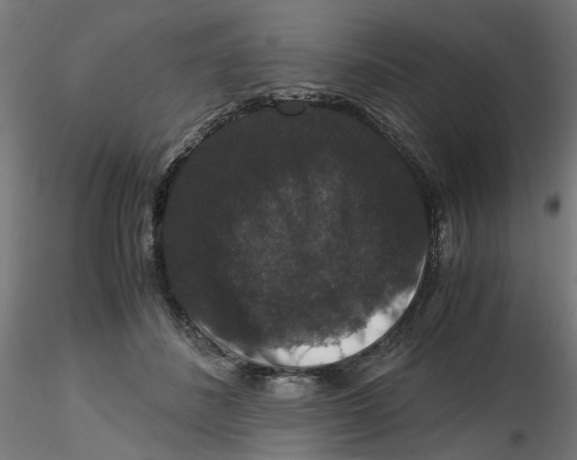 X0000116780508201001071240