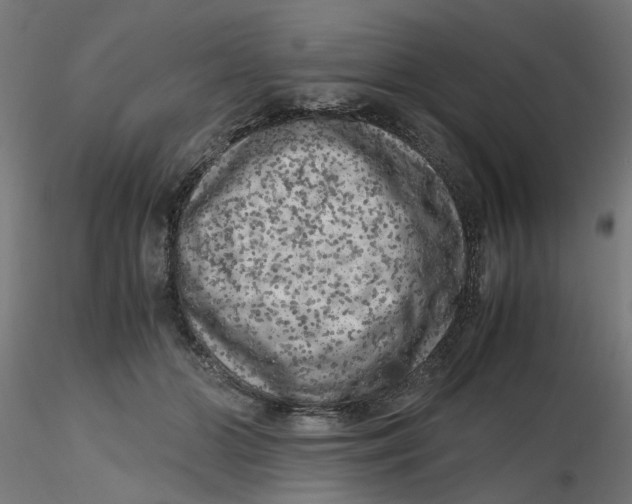 X0000116780510201001071240