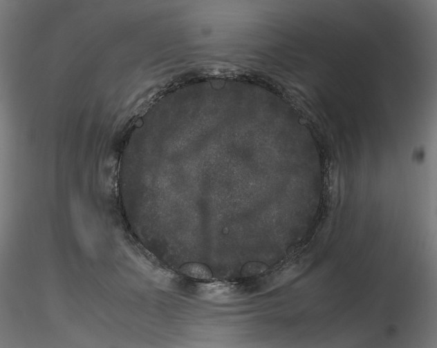 X0000116780511201001071240