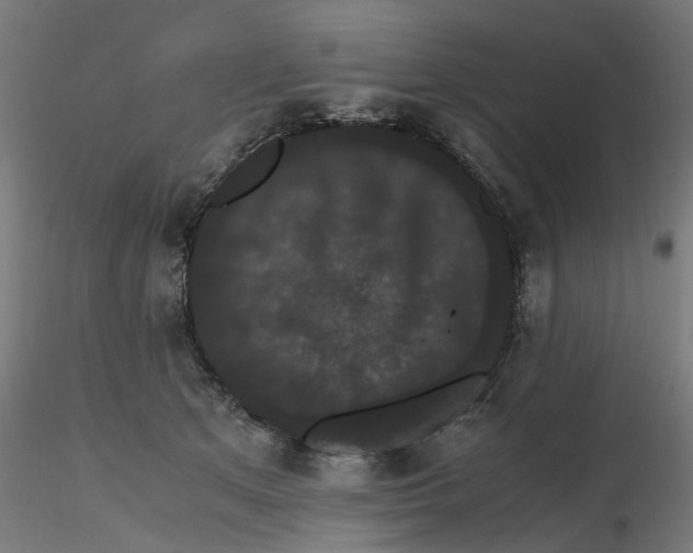 X0000116780513201001071240