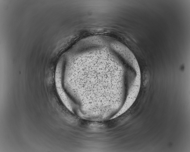 X0000116780515201001071240