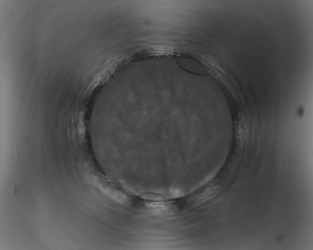 X0000116780516201001071240