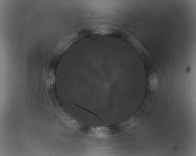 X0000116780517201001071240