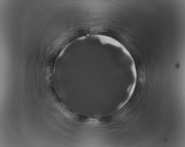 X0000116780519201001071240