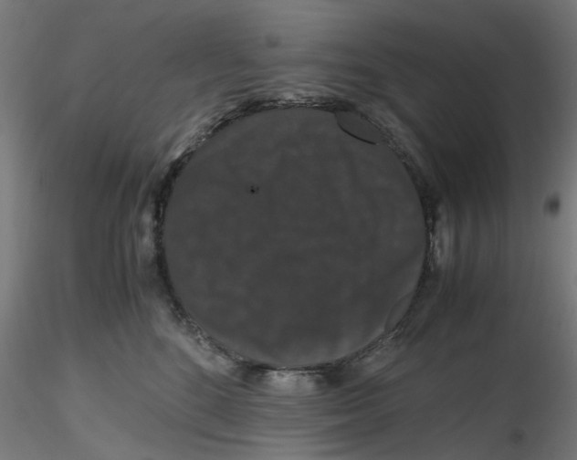 X0000116780520201001071240