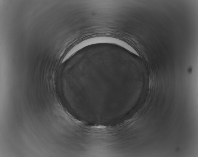 X0000116780524201001071240