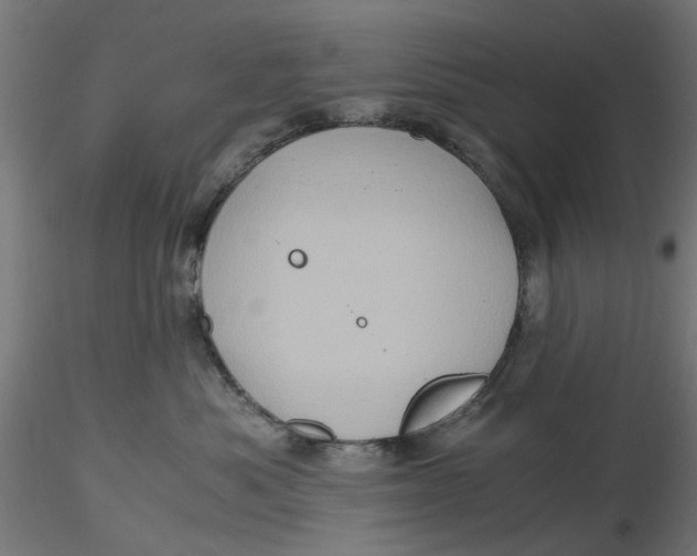 X0000116780525201001071240