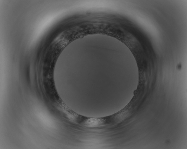 X0000116780526201001071240