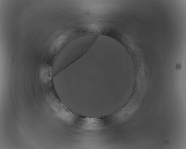 X0000116780528201001071239